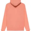 Coral Essentials Hoodie 2024